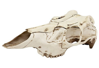Mountain Mike's Natural Causes - Skull Master Large