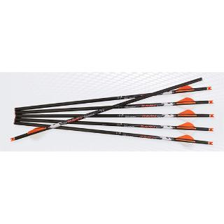 RAVIN CROSSBOWS ARROWS 500GR HD 6PK .001
