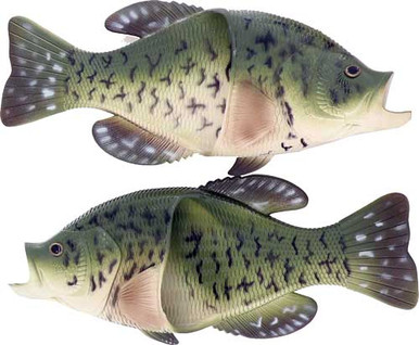 Rivers Edge Crappie Sandals - Adult LargeSize 11/12