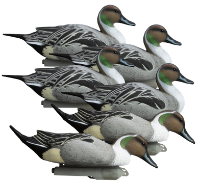Higdon Decoys Battleship, Higdon 16544 Battleship Pintail Foam Fill 6pk