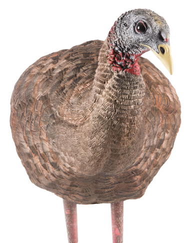 Avian-X LCD Breeder Hen Decoy