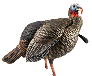 Avian-X HDR Jake Decoy