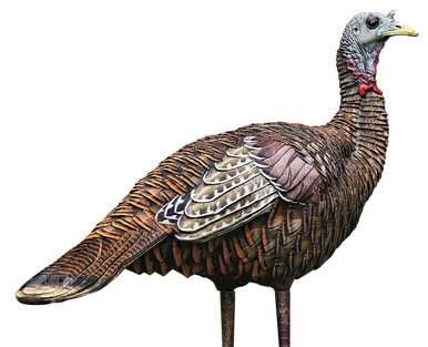 Avian-X LCD Lookout Hen Decoy