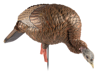 Avian-X HDR Feeding Hen Decoy