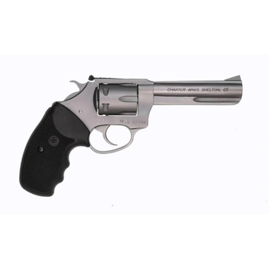 Charter Arms Target Pathfinder .22 LR 6rd Capacity 4.2" Barrel Stainless REFURBISHED