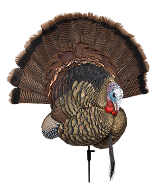 Avian X AVXAVX8021 Trophy TomTurkey Species Multi-Color *No Fan