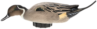 Avian X AVXPSHPNSF Power ShakerPintail Surface Feeder Duck Decoy Multi-Color