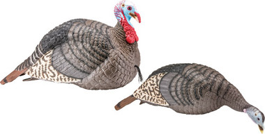 HEN/JAKE STRUT-LITEHS STRUT TURKEY DECOY COMBO