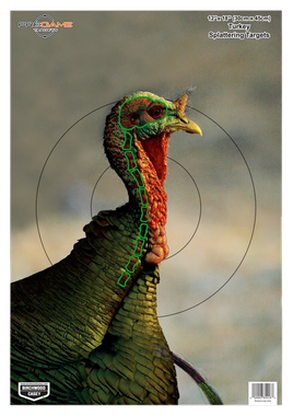 Birchwood Casey 35403 PregameTurkey Paper Hanging Universal 12" x 18" Multi-Color 8 Per Pkg