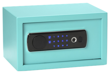 Bulldog BD5012 DuoDigital Keypad/Biometric/Key Entry Teal Powder Coated Steel Holds 1 Handgun LED Keypad