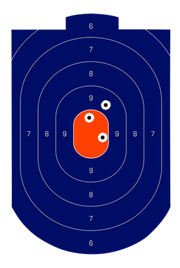 Birchwood Casey 35714 Dirty Bird Silhouette Target Silhouette Tagboard Target 12" x 18" 100 Per Pkg
