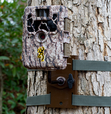 Browning Trail Cameras Tree Mount, Btc TmCamera Tree Mount Brown