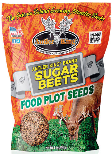 Antler King Sugar Beets 1# Bag - Annual 1/8 Acre