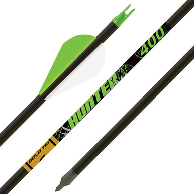 Gold Tip Arrow Hunter Xt 300 - 2" Raptor Vanes 1/2doz