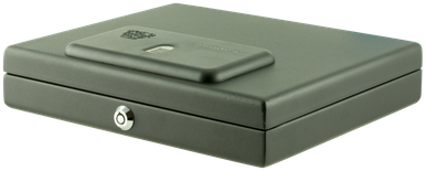 Bulldog Magnum Biometric Pistol Vault Top Load