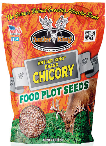 Antler King Chicory 1# Bag - Perennial 1/4 Acre
