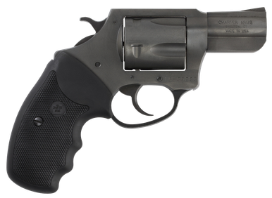 Charter Arms Pitbull, Cha 64020 Pitbull40sw 2.3 Nitride